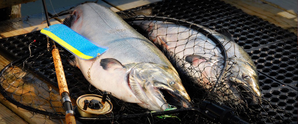 Coho salmon fishing packages — Qualicum Rivers Winter Harbour Lodge & Resort – Qualicum Rivers Winter Harbour Lodge & Resort